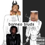 borneobluds_