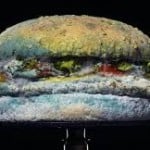 bruger