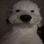 LuiFerMusic