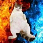 CannedSupernova