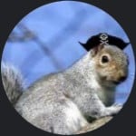 CaptainSquirrel