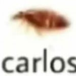 carlosthebug