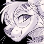 casiokitty