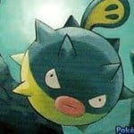 Catcus