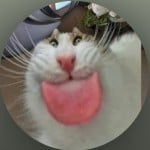 catherine333