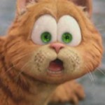 catmaxplez