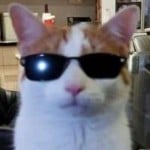 catoxy