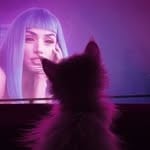 Catrunner2049