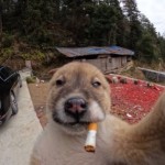 cigsandbeers