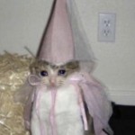 potatoprincess