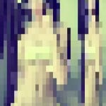 cvtter