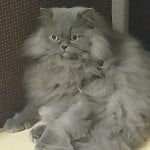 czarekk