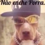 Damaro