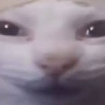 DanniNani