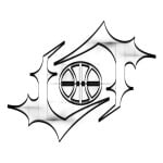 darkspider