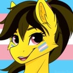 Dashie04