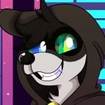DeadeyeRaccoon