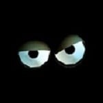 DonCognito