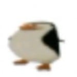 DonPollo