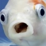 EEEEEEEEEELLLLL