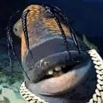 Euaggelos