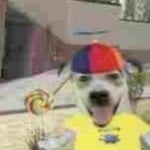 Faustinambuco