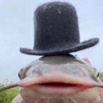 Fichman_o_peixe
