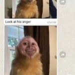 figgles