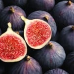 Figgot