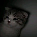 filmtographies