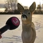 Finnius0