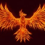 FireBird222