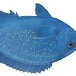 Fish_React