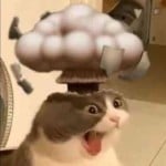 frankyteardrop