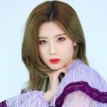 fvrt_color404
