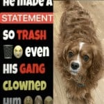 notmyrealname