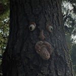 Earthyfaldo