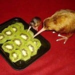 garywithnosnail