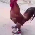 gloopty
