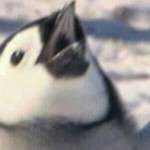 Goooo
