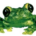 Gorf111