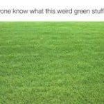 GoTouchGrass
