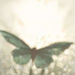 greenabi