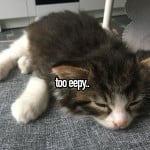 grety