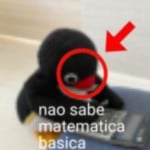 Guana