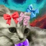 GuyThatLikesCat