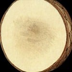 Hakita_