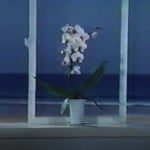 Hirofumi