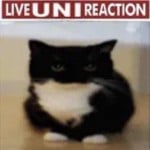 HuntedBobo