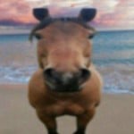 IAMDOUG